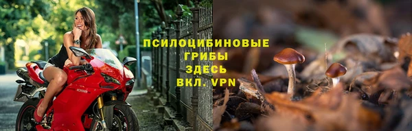 прущие крисы Бронницы