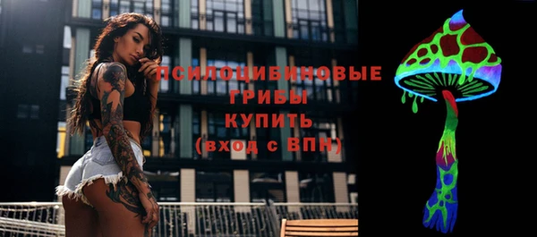 амф Бородино