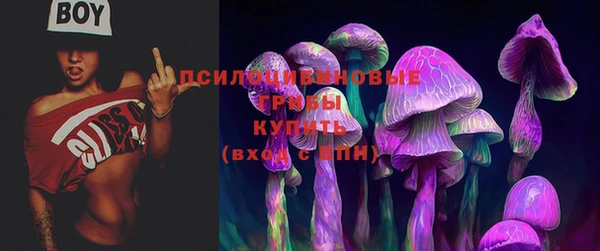 хмурый Волоколамск