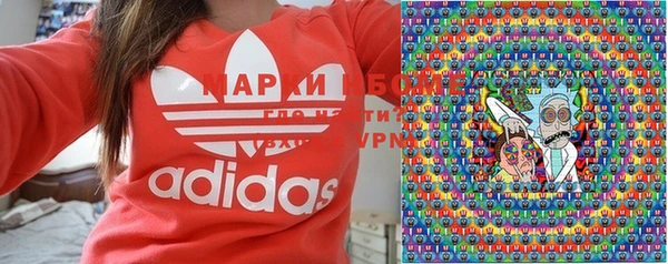 амф Бородино