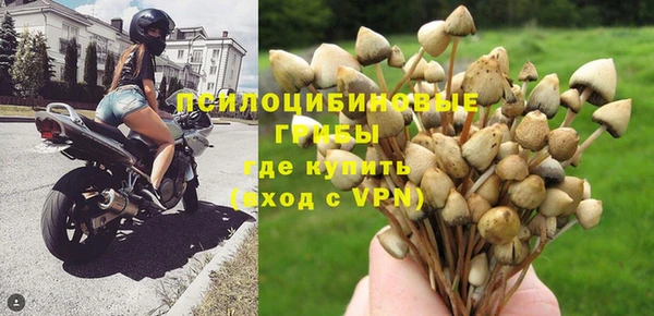 прущие крисы Бронницы