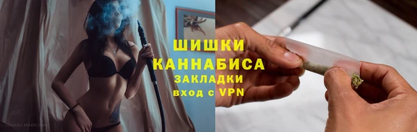 амф Бородино