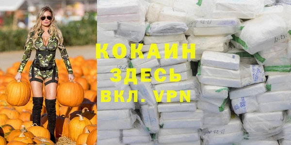 амф Бородино