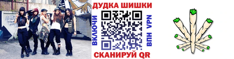 Конопля Amnesia  Купить где  Лесной 